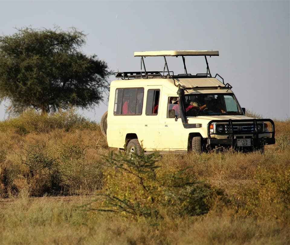 Safari Vehicle Hire