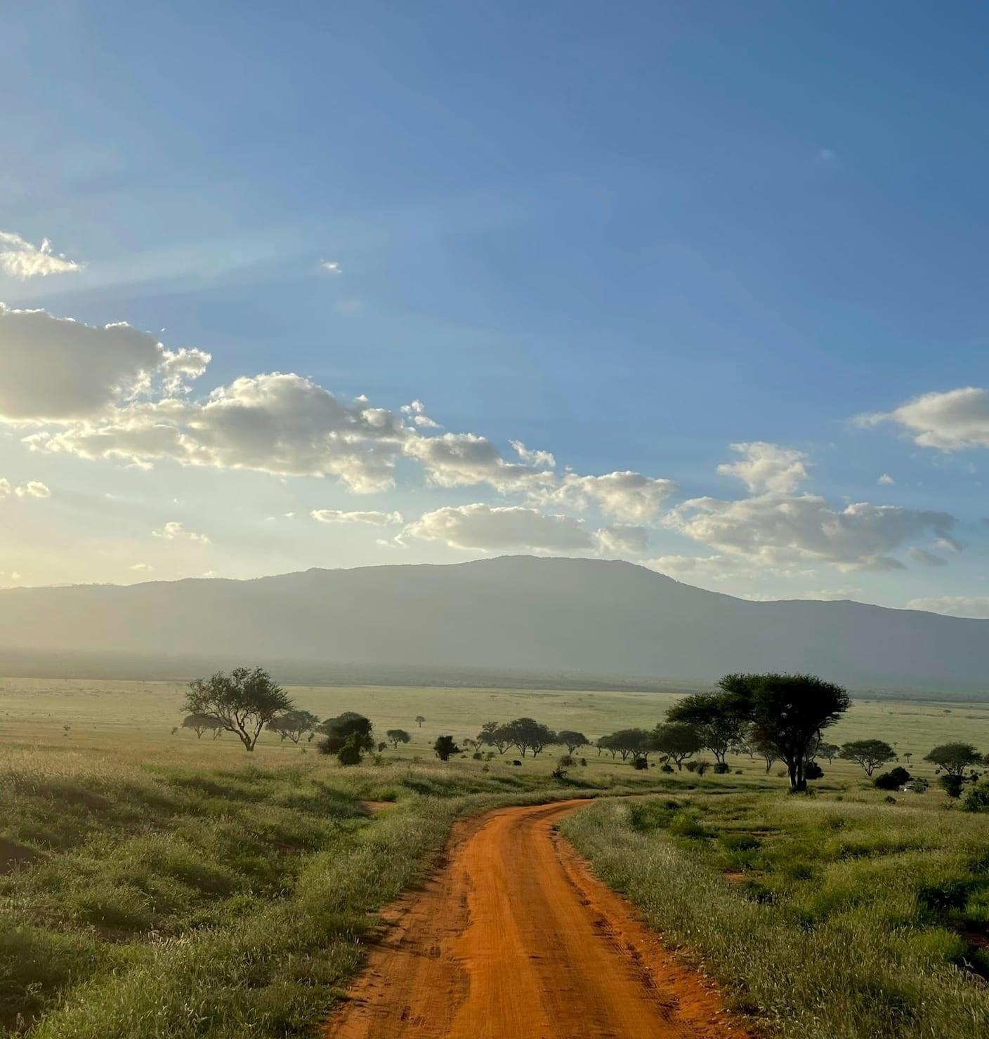 A red dirt road across the savanna