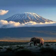Kilimanjaro