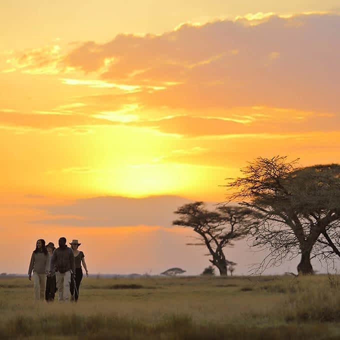 Serengeti